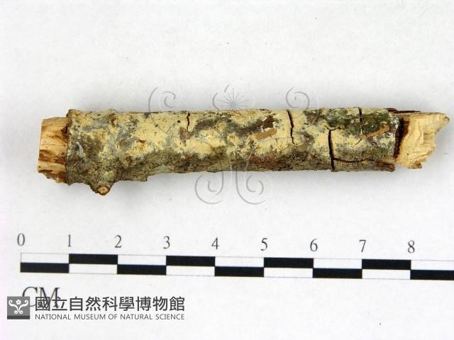 登錄號:F0003148藏品圖，第3張