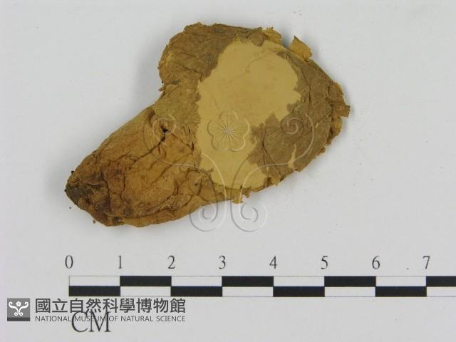 登錄號:F0012048藏品圖，第3張