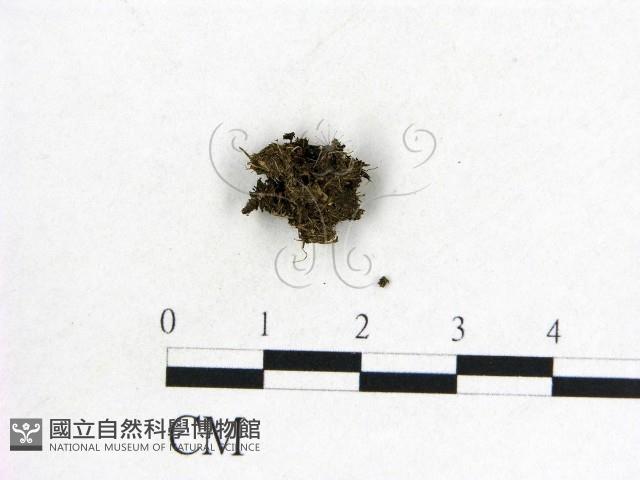 登錄號:F0015048藏品圖，第3張