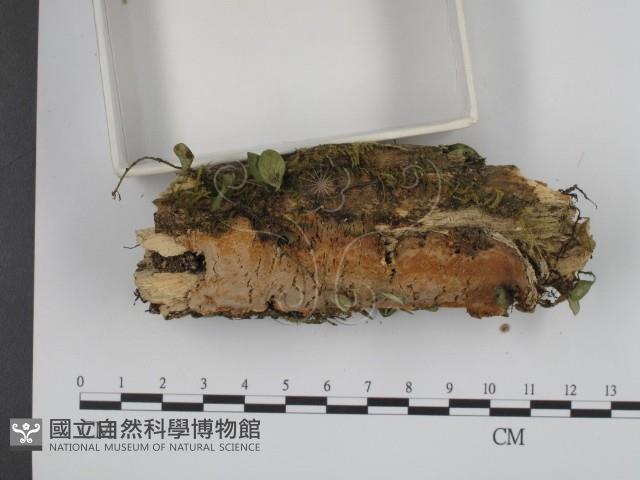 登錄號:F0001348藏品圖，第3張