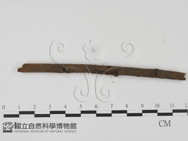 登錄號:F0012238藏品圖，第3張