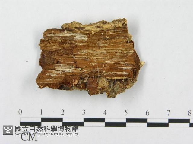 登錄號:F0005938藏品圖，第3張