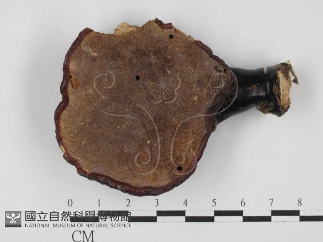 登錄號:F0027638藏品圖，第3張