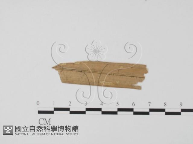 登錄號:F0019638藏品圖，第3張