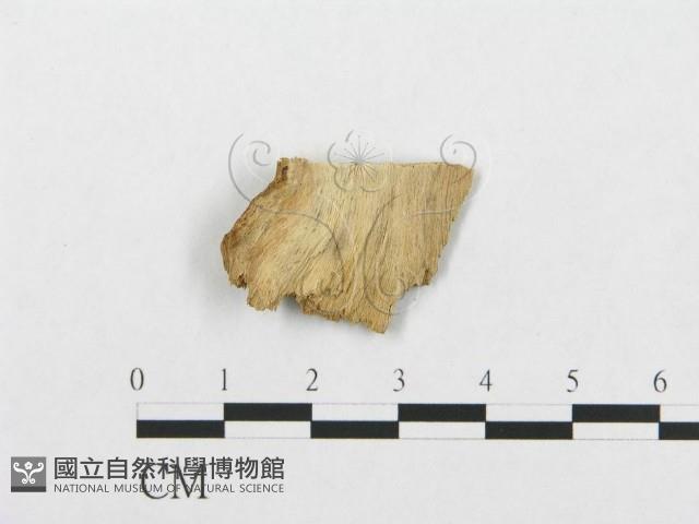 登錄號:F0016738藏品圖，第3張