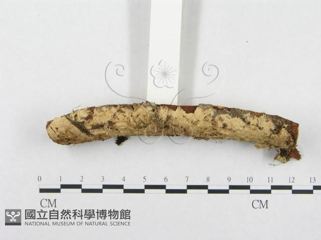 登錄號:F0002738藏品圖，第1張