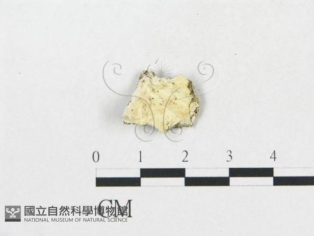 登錄號:F0017538藏品圖，第1張