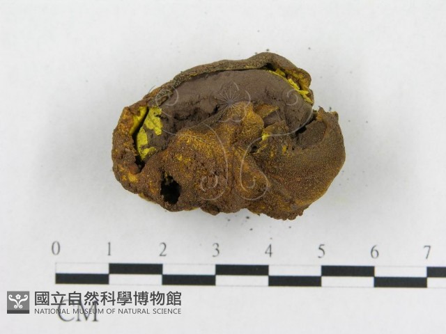 登錄號:F0010138藏品圖，第3張