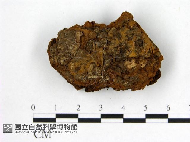 登錄號:F0006138藏品圖，第3張