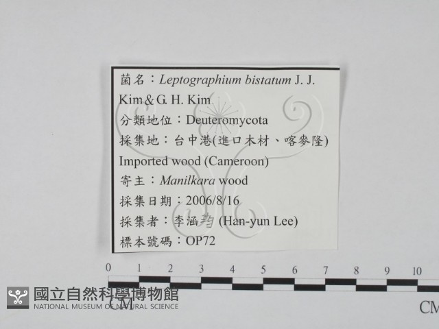 登錄號:F0022138藏品圖，第3張