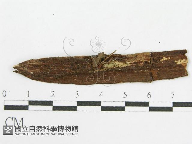 登錄號:F0019138藏品圖，第3張
