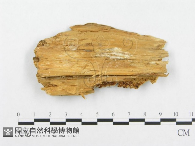 登錄號:F0014038藏品圖，第3張