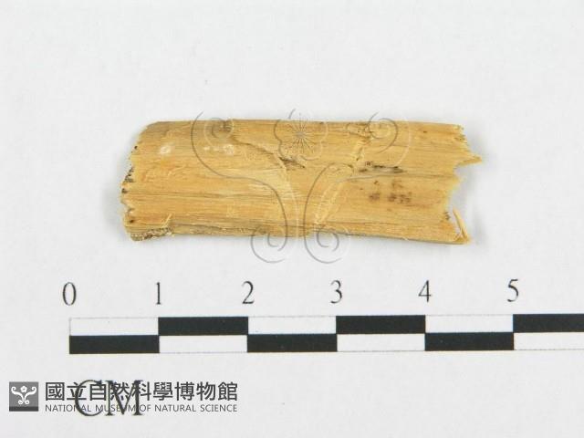 登錄號:F0017338藏品圖，第1張