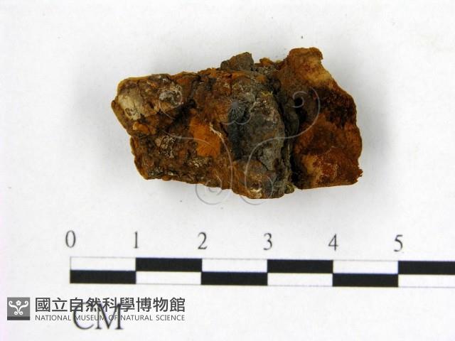 登錄號:F0006278藏品圖，第3張