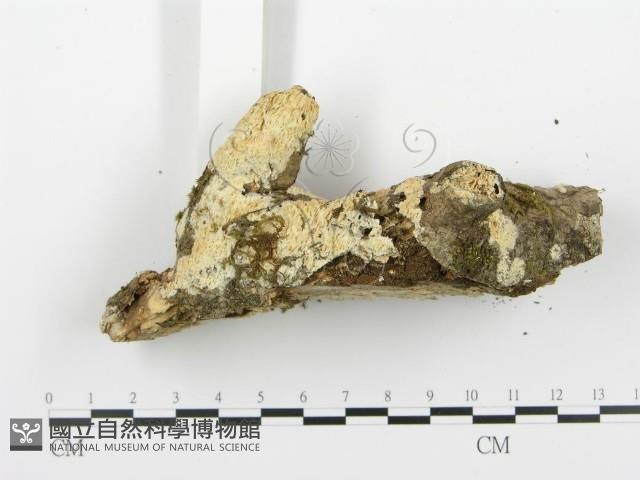 登錄號:F0001278藏品圖，第3張