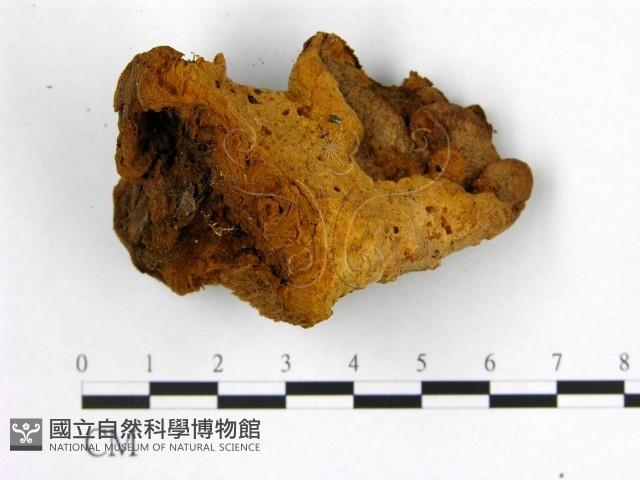 登錄號:F0018878藏品圖，第3張