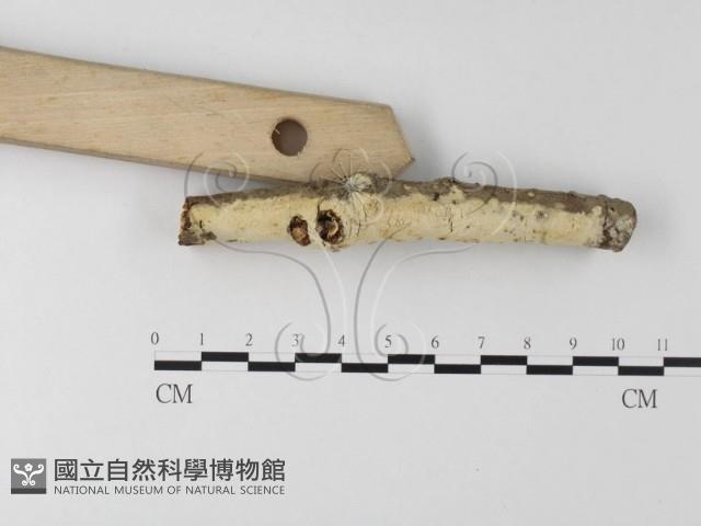 登錄號:F0023878藏品圖，第3張