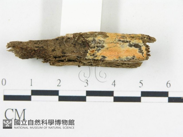 登錄號:F0006678藏品圖，第3張