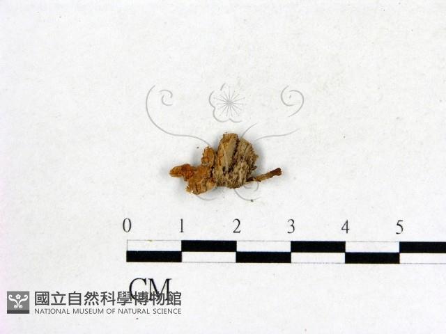 登錄號:F0012678藏品圖，第3張