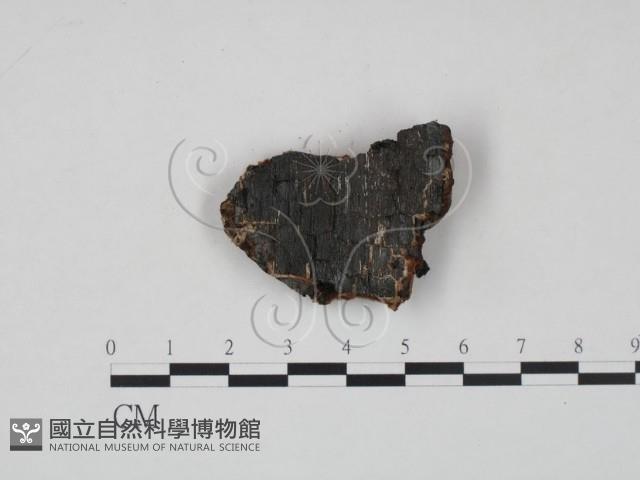 登錄號:F0006478藏品圖，第3張