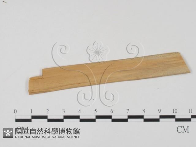 登錄號:F0011478藏品圖，第3張
