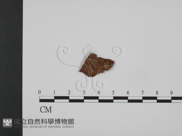 登錄號:F0017778藏品圖，第3張