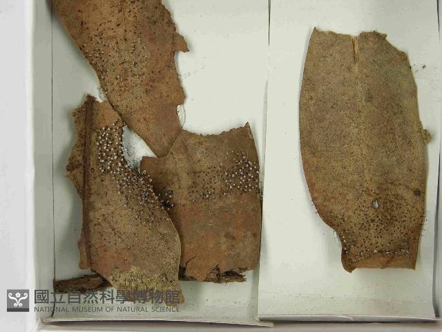 登錄號:F0021578藏品圖，第3張