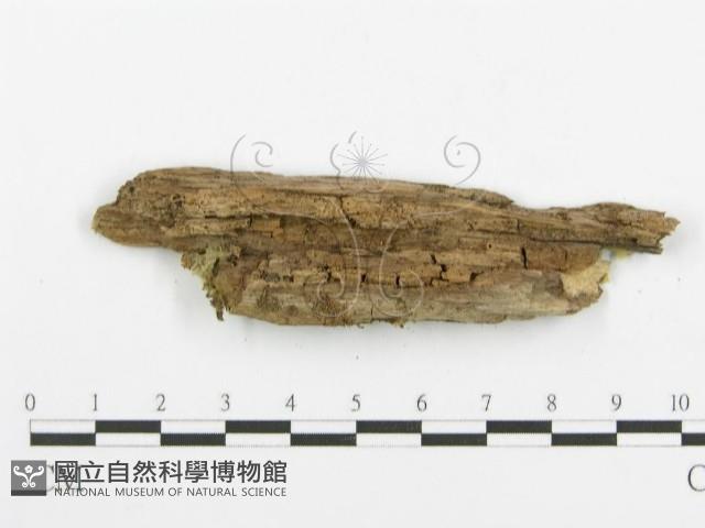 登錄號:F0004578藏品圖，第3張