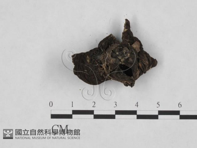 登錄號:F0000178藏品圖，第3張