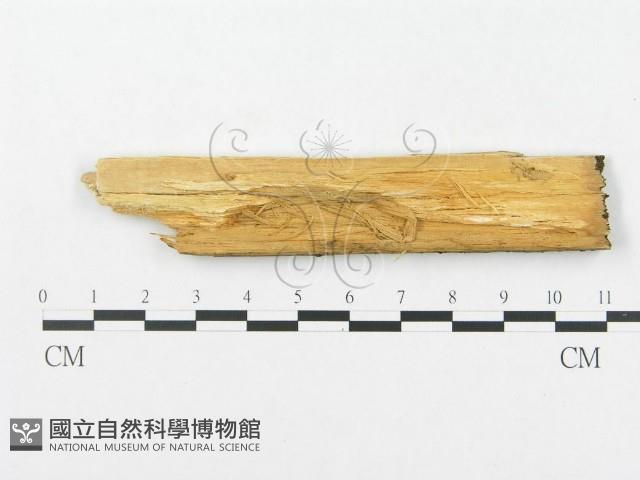 登錄號:F0014078藏品圖，第3張