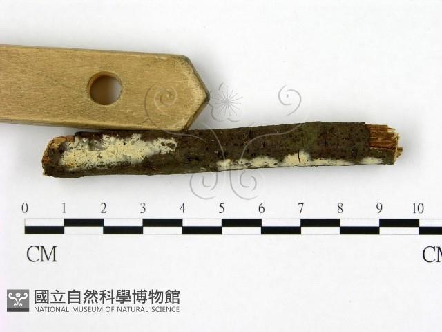 登錄號:F0015078藏品圖，第3張