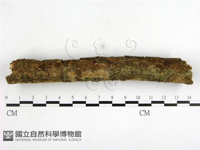 登錄號:F0000378藏品圖，第3張