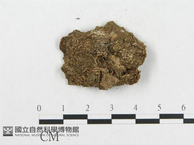 登錄號:F0004378藏品圖，第3張