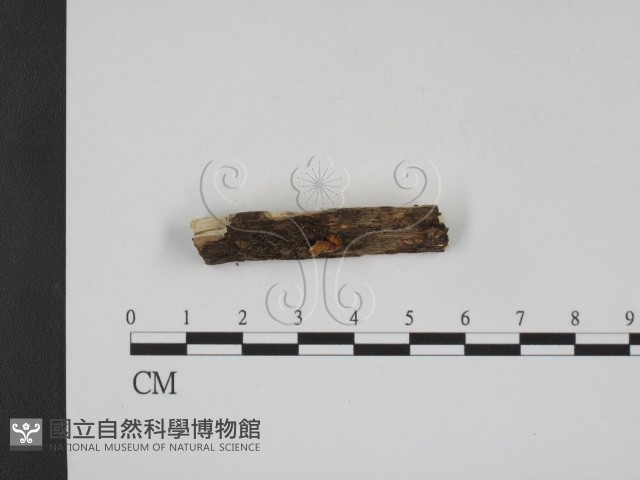 登錄號:F0002378藏品圖，第3張