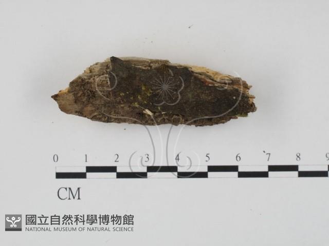 登錄號:F0007378藏品圖，第3張