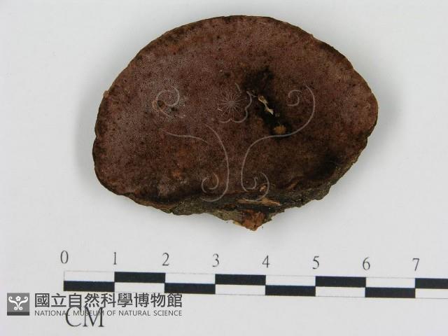 登錄號:F0017378藏品圖，第1張
