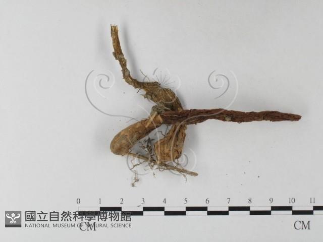 登錄號:F0023378藏品圖，第3張