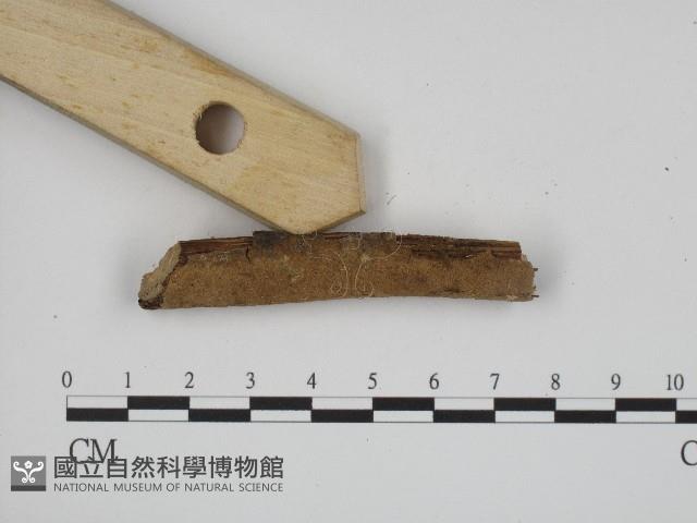 登錄號:F0004260藏品圖，第3張