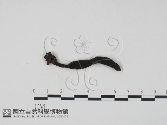 登錄號:F0022260藏品圖，第3張