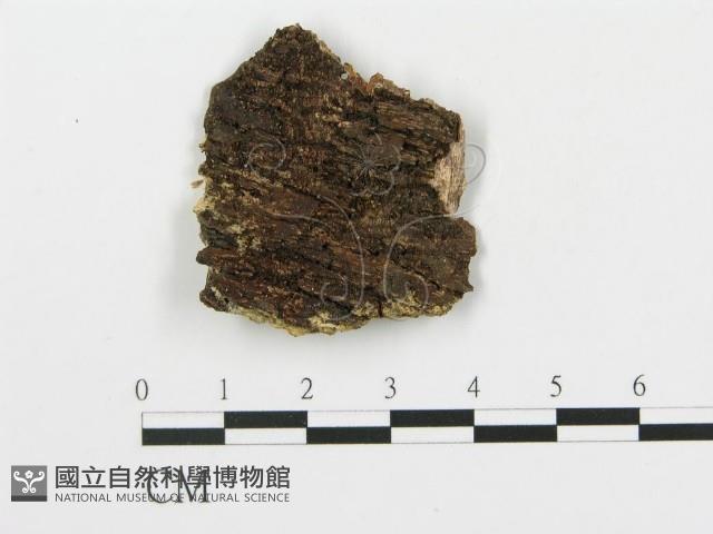 登錄號:F0014860藏品圖，第3張