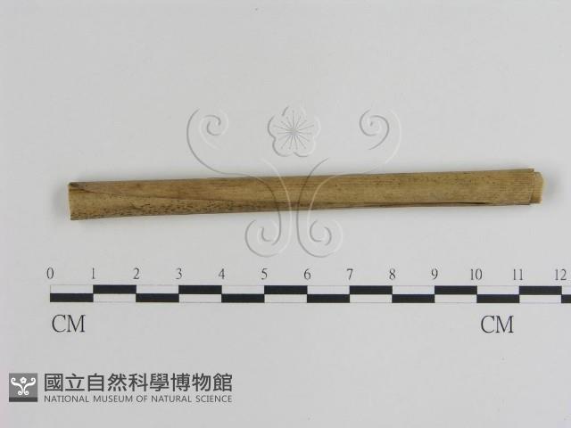 登錄號:F0008960藏品圖，第3張