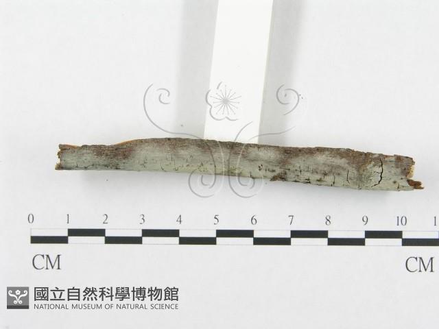 登錄號:F0001960藏品圖，第3張