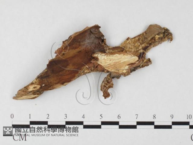 登錄號:F0026660藏品圖，第3張