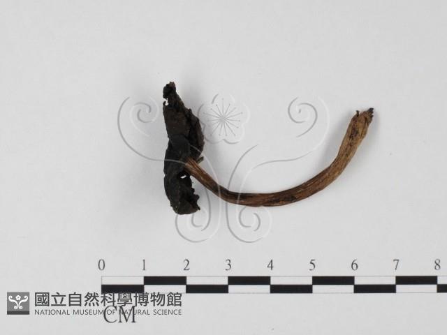 登錄號:F0025660藏品圖，第3張