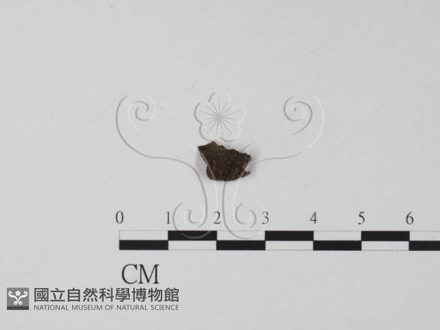 登錄號:F0019660藏品圖，第3張