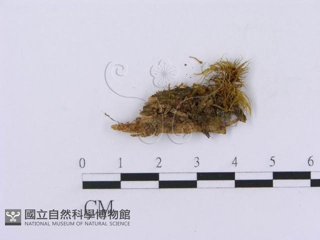 登錄號:F0016760藏品圖，第3張