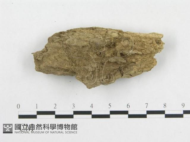 登錄號:F0008560藏品圖，第3張