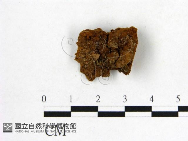 登錄號:F0006160藏品圖，第3張