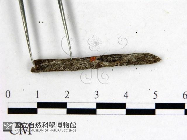 登錄號:F0001160藏品圖，第3張