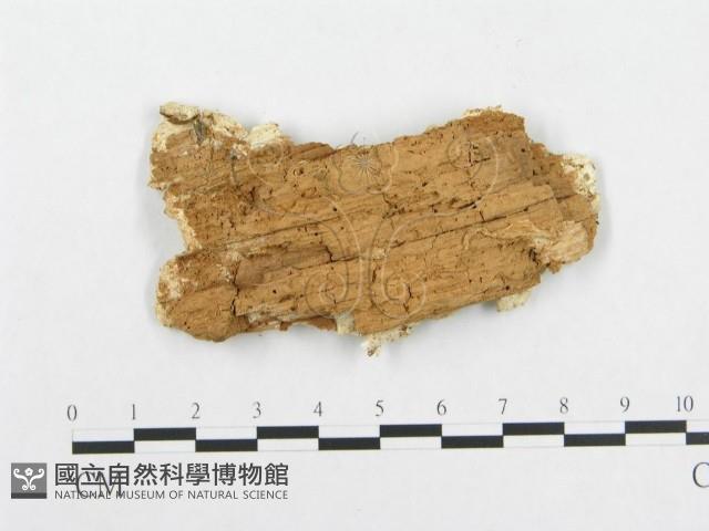 登錄號:F0014160藏品圖，第3張